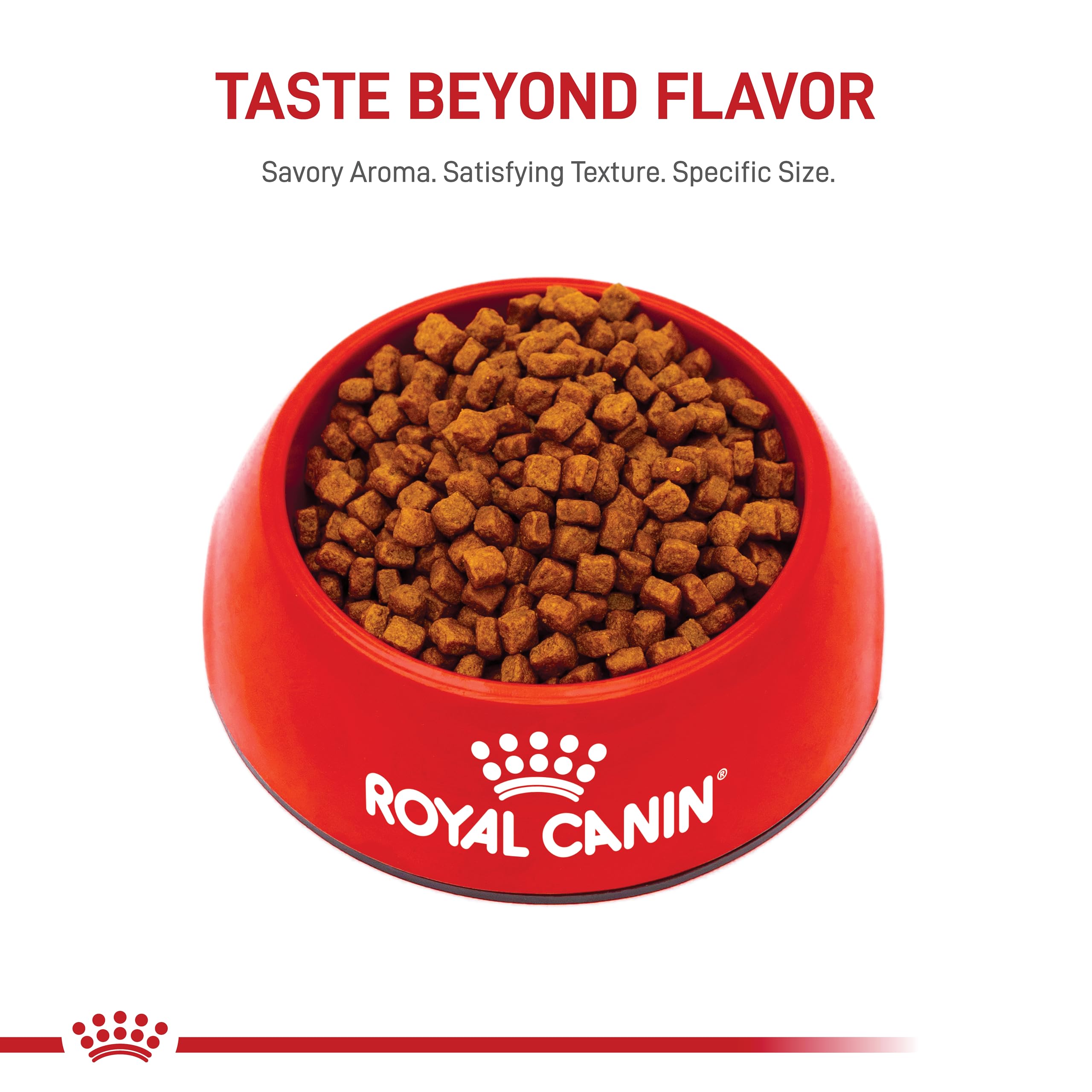 Royal Canin Yorkshire Terrier Puppy Dry Dog Food - Breed Specific Nutrition for Small Dogs, 2.5 lb Bag - Perfect for Yorkshire Terrier Puppies' Growth & Development