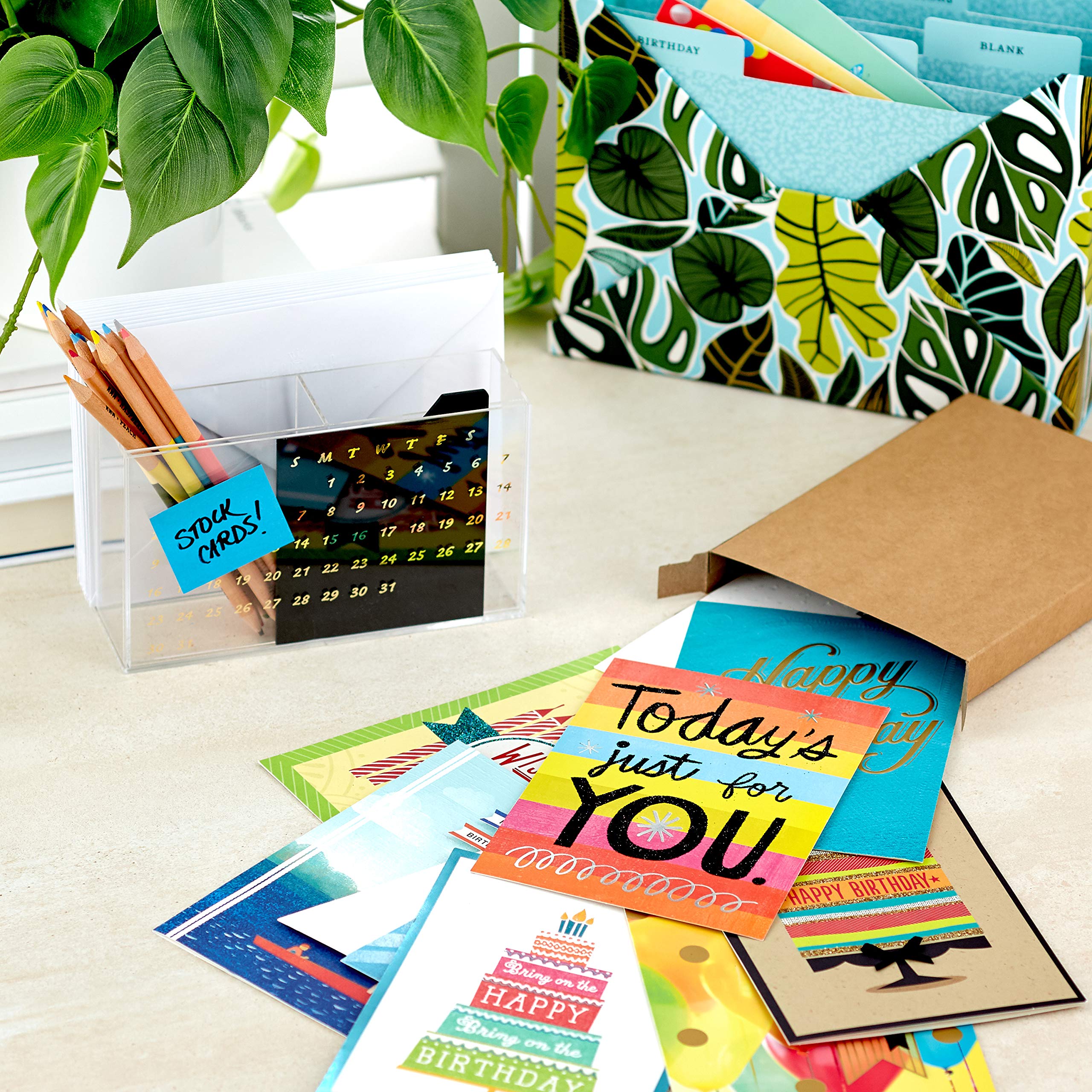 Hallmark Birthday Cards Assortment - 12 Premium Greeting Cards with Envelopes | Elegant Card Organizer Box | Perfect for Parties, Gifts & Special Occasions