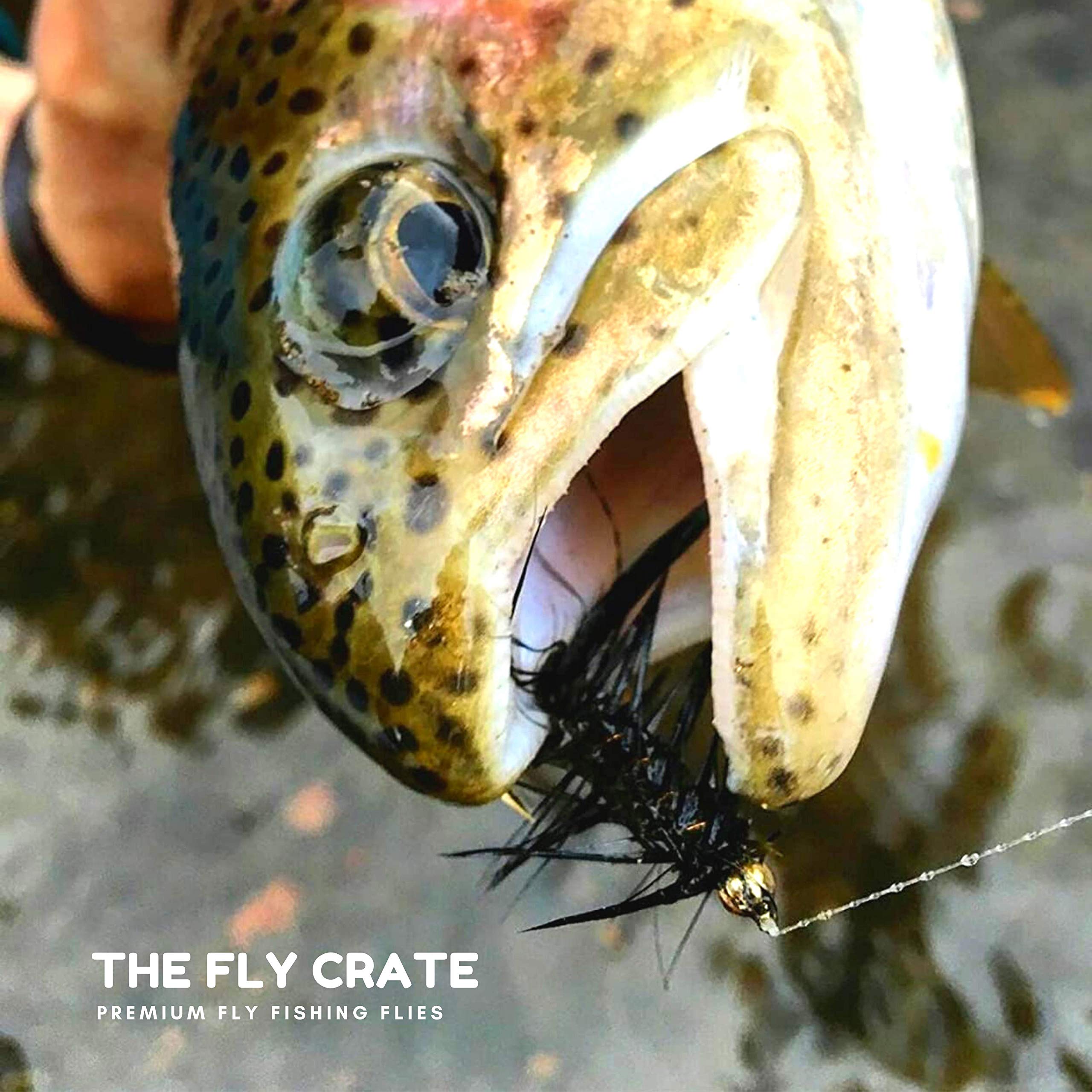 Premium Woolly Bugger Flies for Trout Fishing - Assorted Streamer Fly Set | Perfect for Freshwater Fly Fishing, Bass & Panfish | Ideal for Rivers, Lakes & Streams