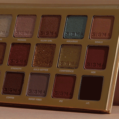 Diana Saldana Eyeshadow Palette - 12 Highly Pigmented Matte & Shimmer Eyeshadows for Professional Makeup | Perfect for Day to Night Looks, Bridal Makeup & Special Occasions