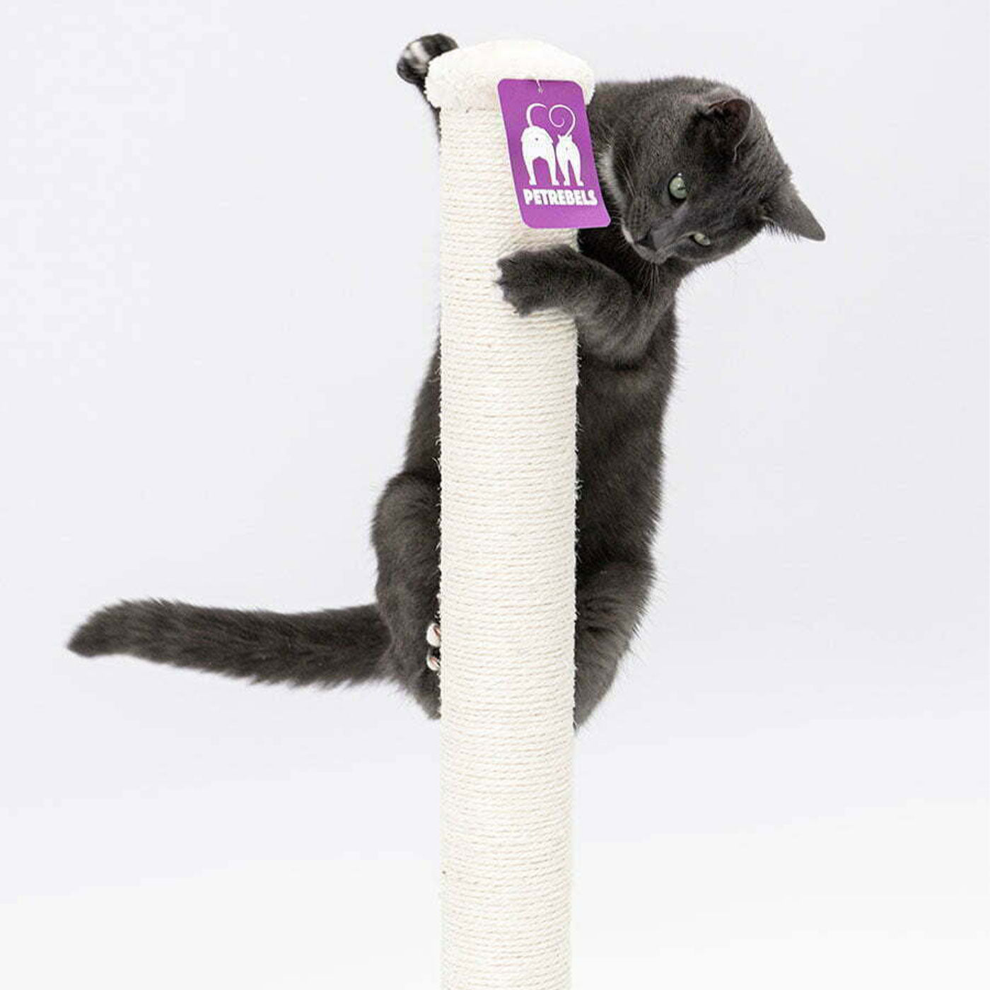Little Rebels Maine 90cm Cat Tree with Scratching Posts - Multi-Level Cat Condo for Indoor Cats - Perfect for Play, Rest & Climbing - Durable & Stylish Cat Furniture for Home or Office