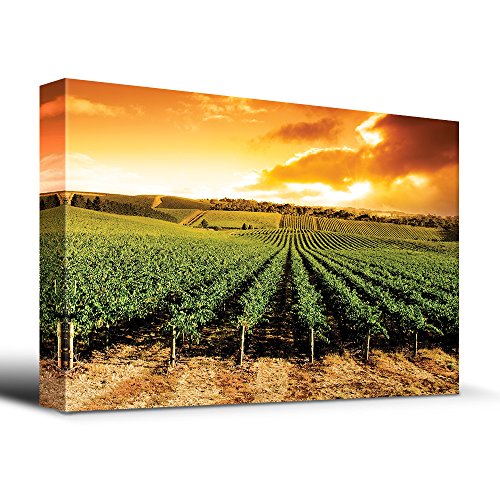 13. Sunset Over Vineyard