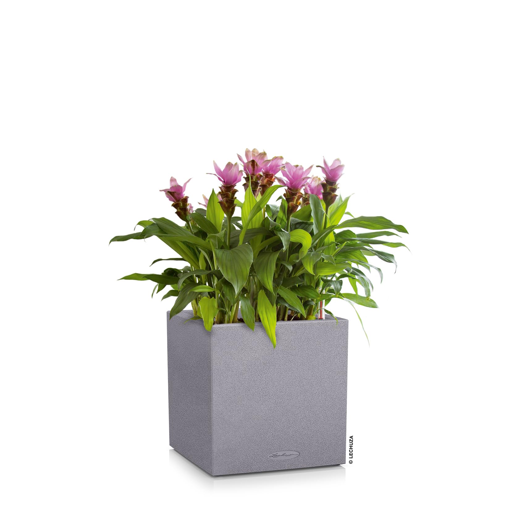 Lechuza Canto Stone Self-Watering Planter - 16 Inch Modern Indoor Outdoor Flower Pot with Automatic Irrigation System, Grey - Perfect for Home, Office, Patio and Garden Decor