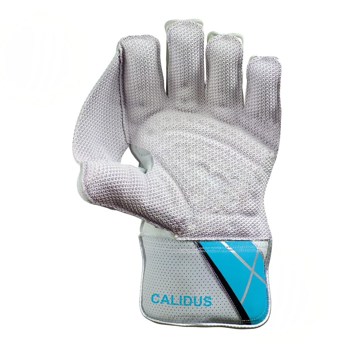 Hunts County Cadilus Wicketkeeping Gloves - Premium Cricket Wicket Keeper Gloves for Practice & Matches - Perfect for Professional & Amateur Players