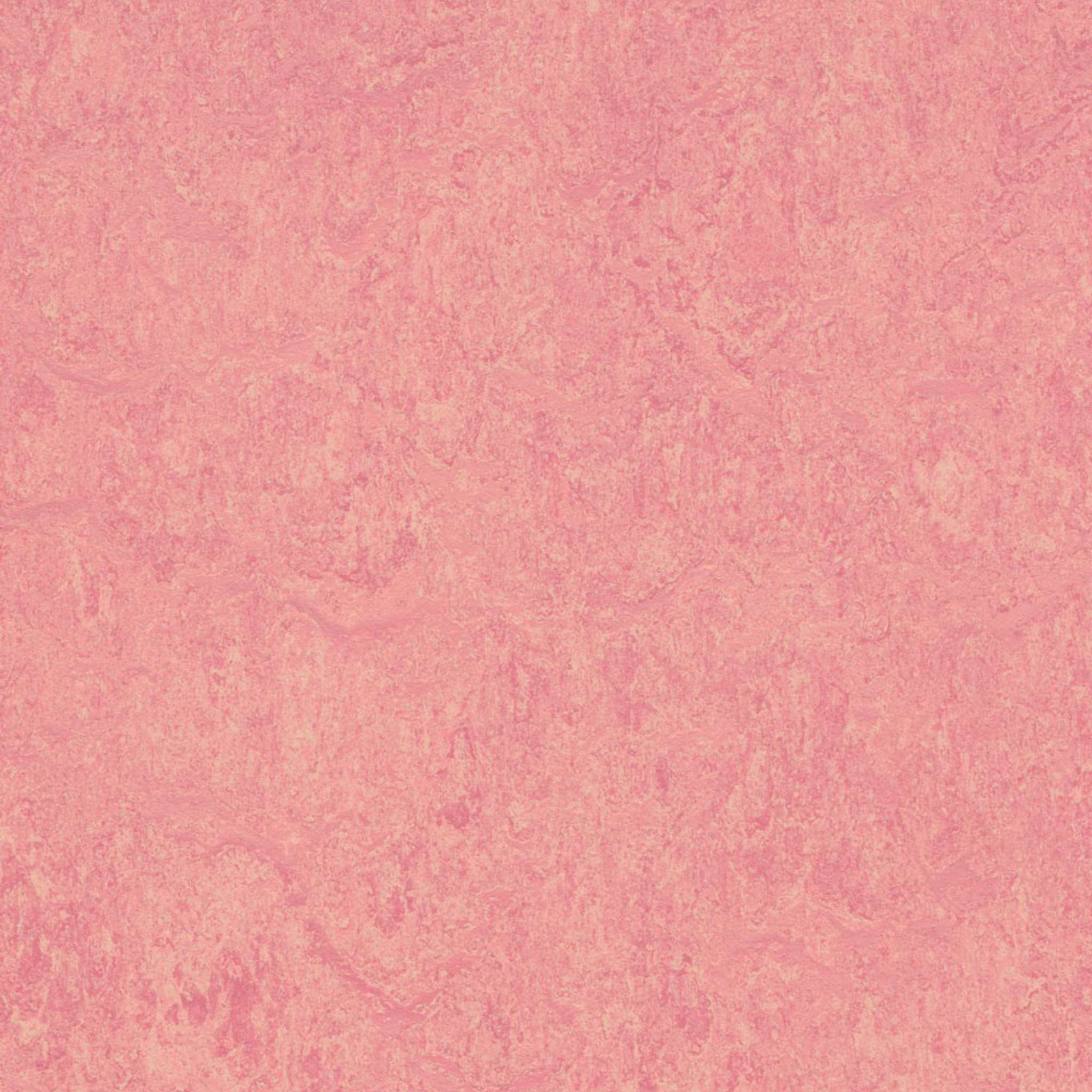 Honeysuckle