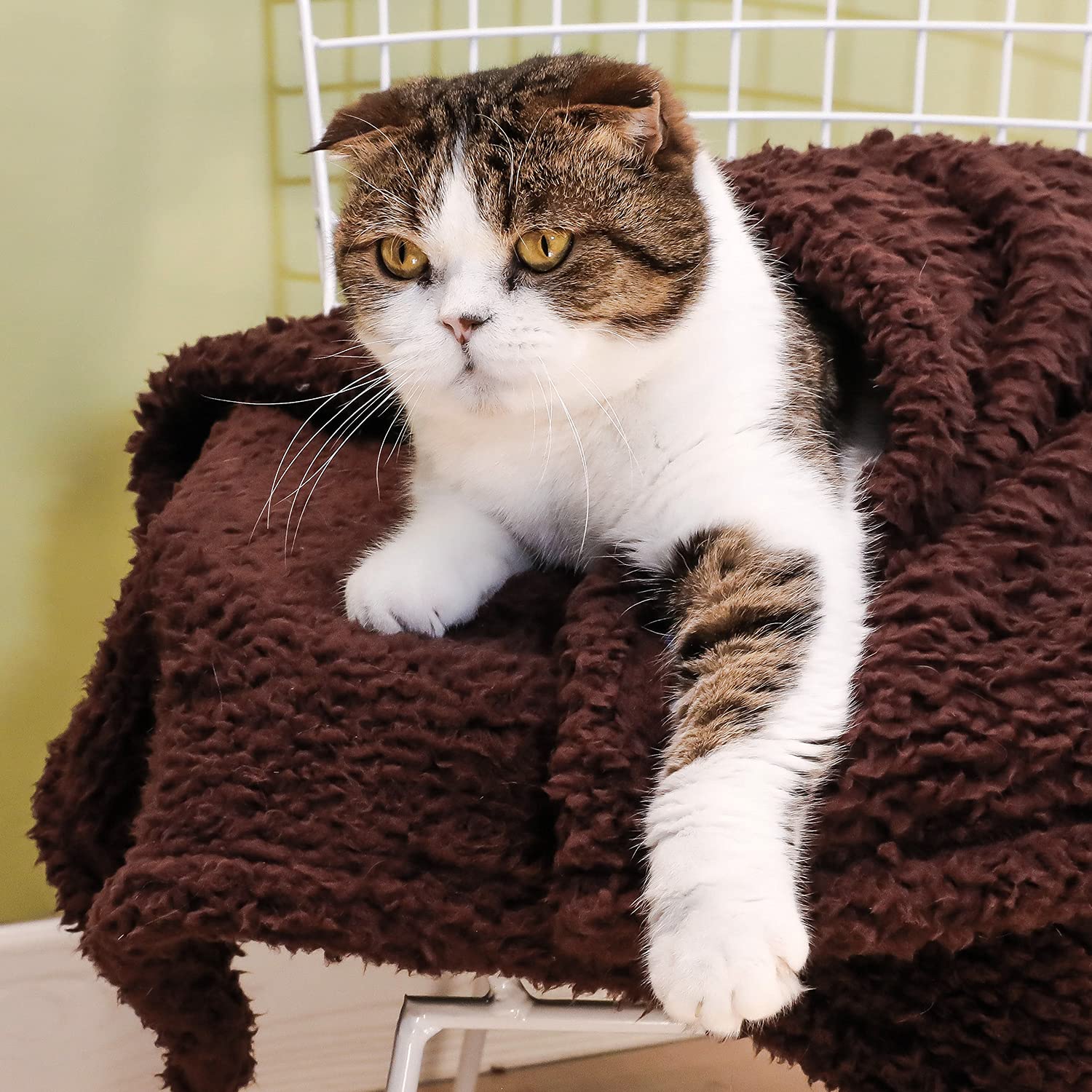 2 Pack Soft Sherpa Fleece Pet Blanket for Small Dogs & Cats - Warm Cozy Throw Blanket for Sofa, Couch, Bed - Durable Pet Bed Cover & Floor Mat (24