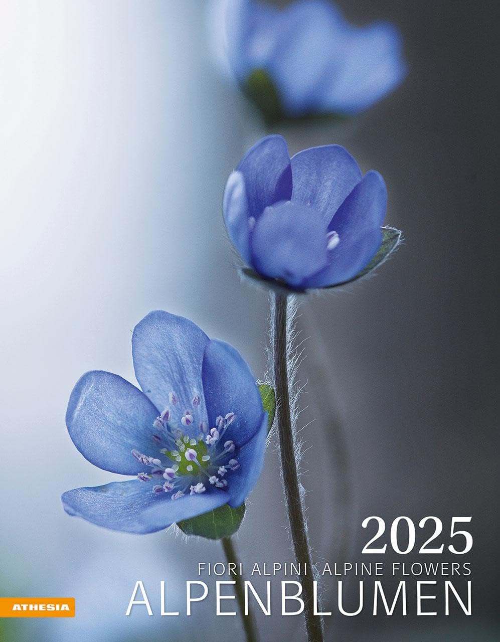 Alpenblumen 2025 Wall Calendar - Beautiful Alpine Flowers for Home & Office Decor | Perfect Gift for Nature Lovers