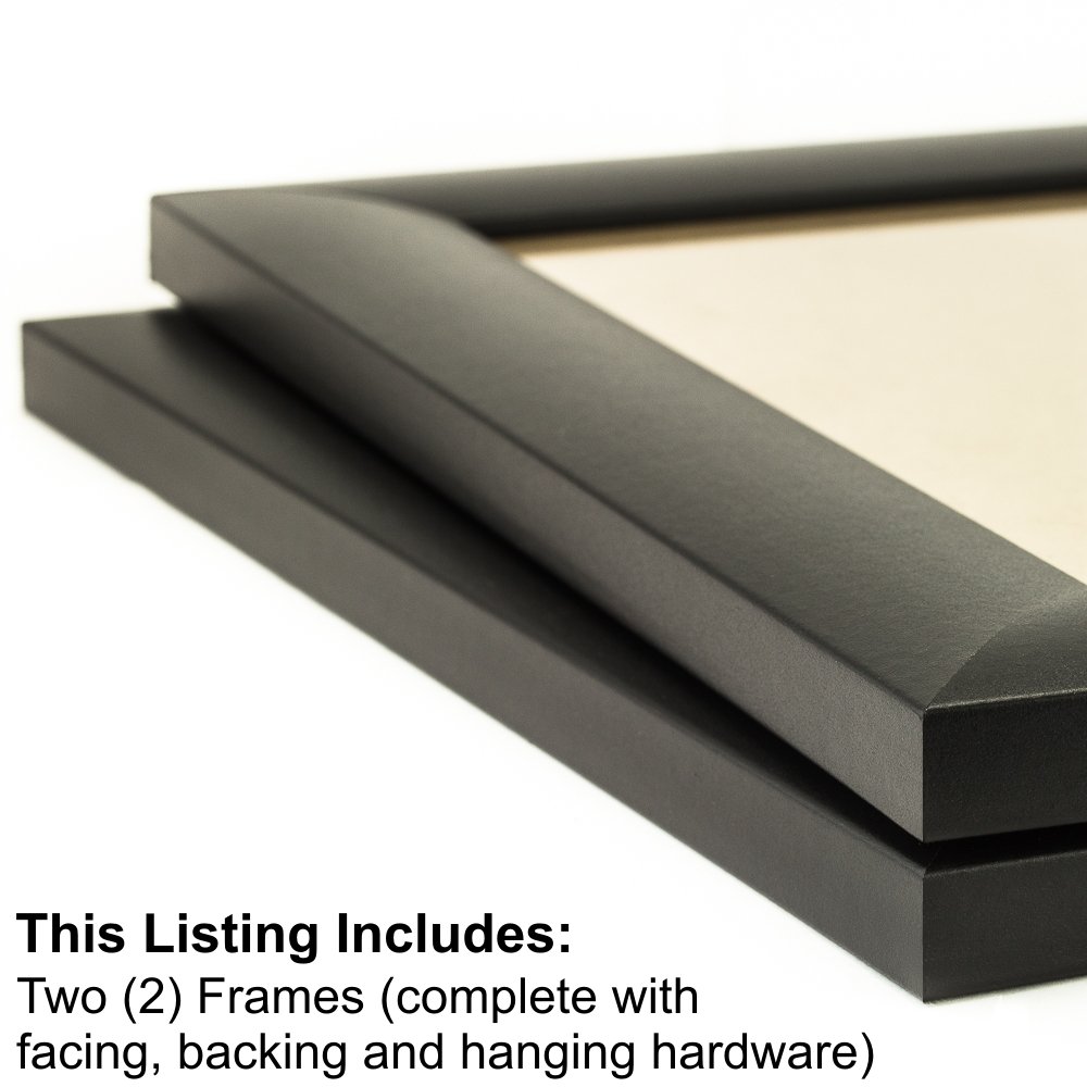 Craig Frames WB3 14x22 Inch Black Picture Frame Set of 2 - Perfect for Wall Decor, Family Photos & Art Displays