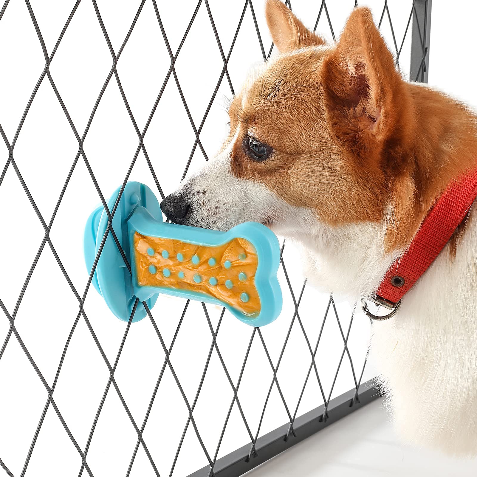 Peanut Butter Dog Training Toy Treat Dispenser - Anxiety Relief Crate Training Aid for Small, Medium & Large Dogs - Secure Cage Attachment - Blue Pet Supplies for Indoor Kennels (Perfect for Puppy Training & Separation Anxiety Relief)