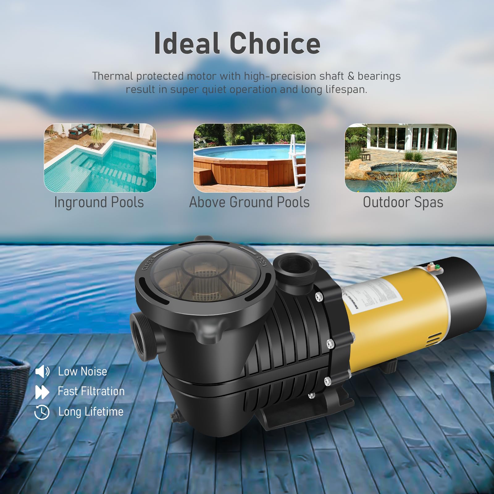 PureBy 1.5HP Energy Efficient Dual Speed Pool Pump - Inground/Above Ground Swimming Pool Circulation System with 1.25'' & 1.5'' NPT Unions (230V) - Perfect for Backyard Pool Maintenance, Water Filtration & Summer Swimming