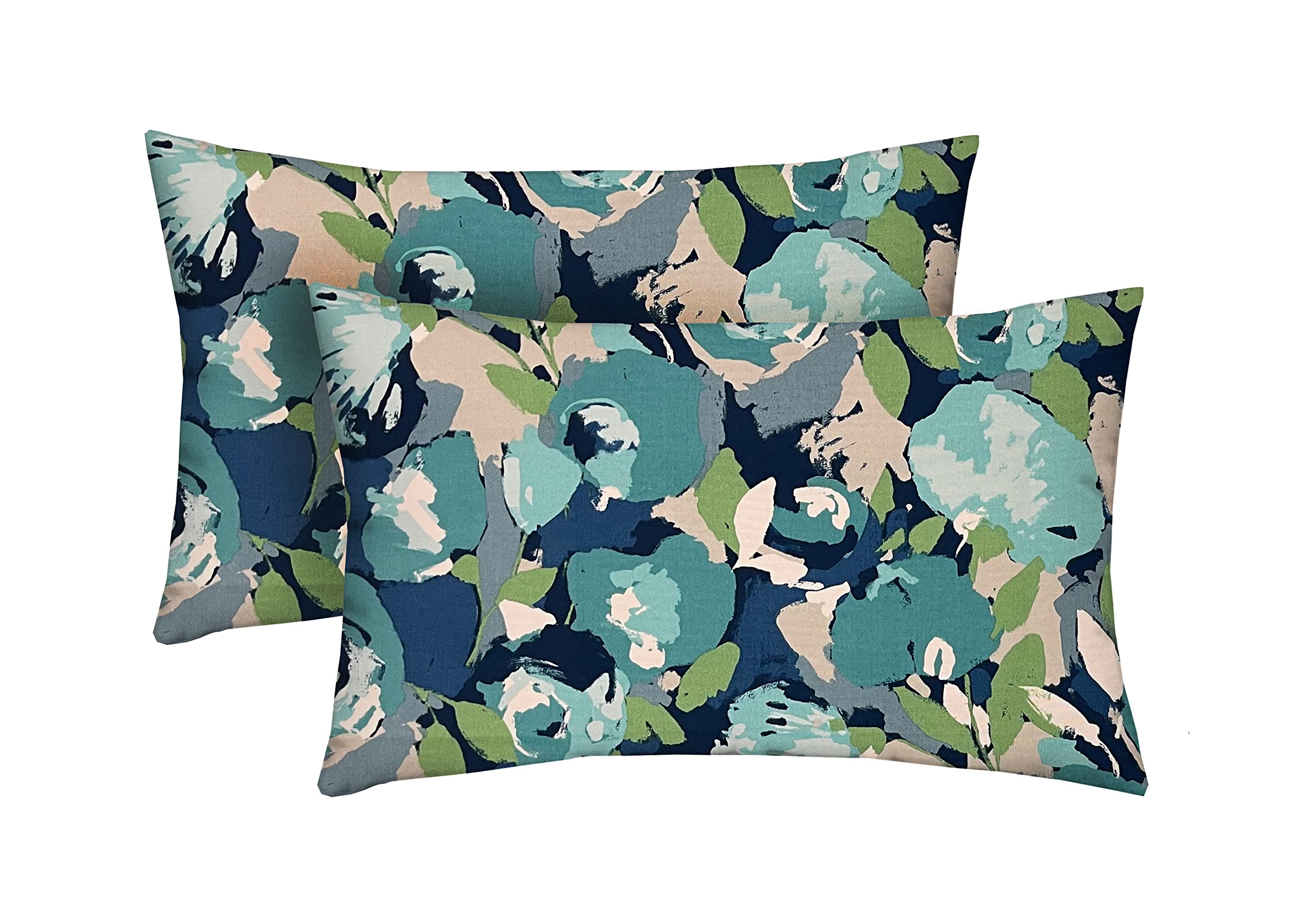 RSH Décor Indoor Outdoor Set of 2 Decorative Throw Pillows (26