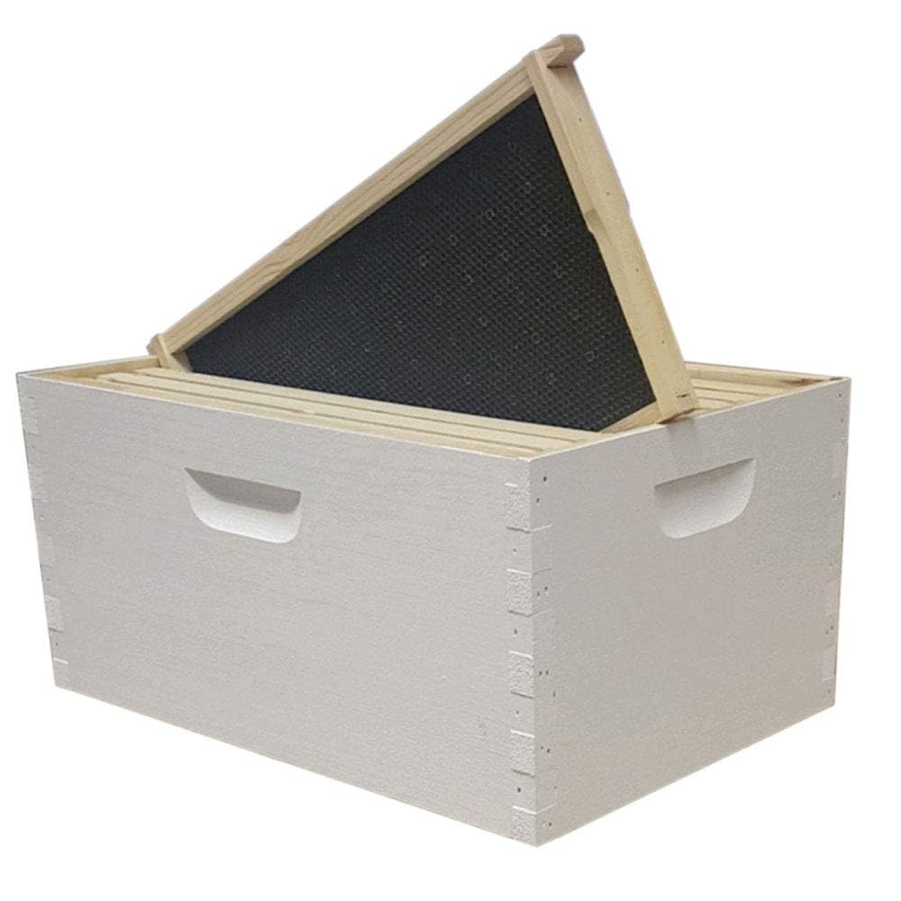 Amish-Made Langstroth 8 Frame Deep Brood Box with Frames & Foundations - Handcrafted in USA - Premium Beehive for Beekeeping & Honey Production