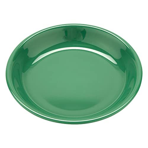 Rainforest Green