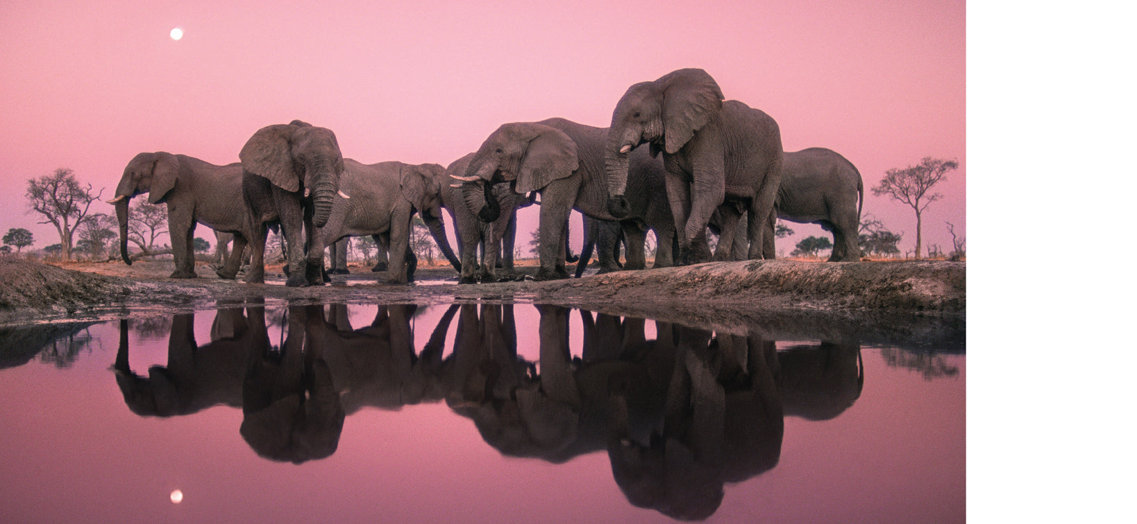 Into Africa - Premium Travel & Adventure Gear for Safari & Outdoor Exploration | Durable Backpacks, Camping Equipment & Safari Essentials