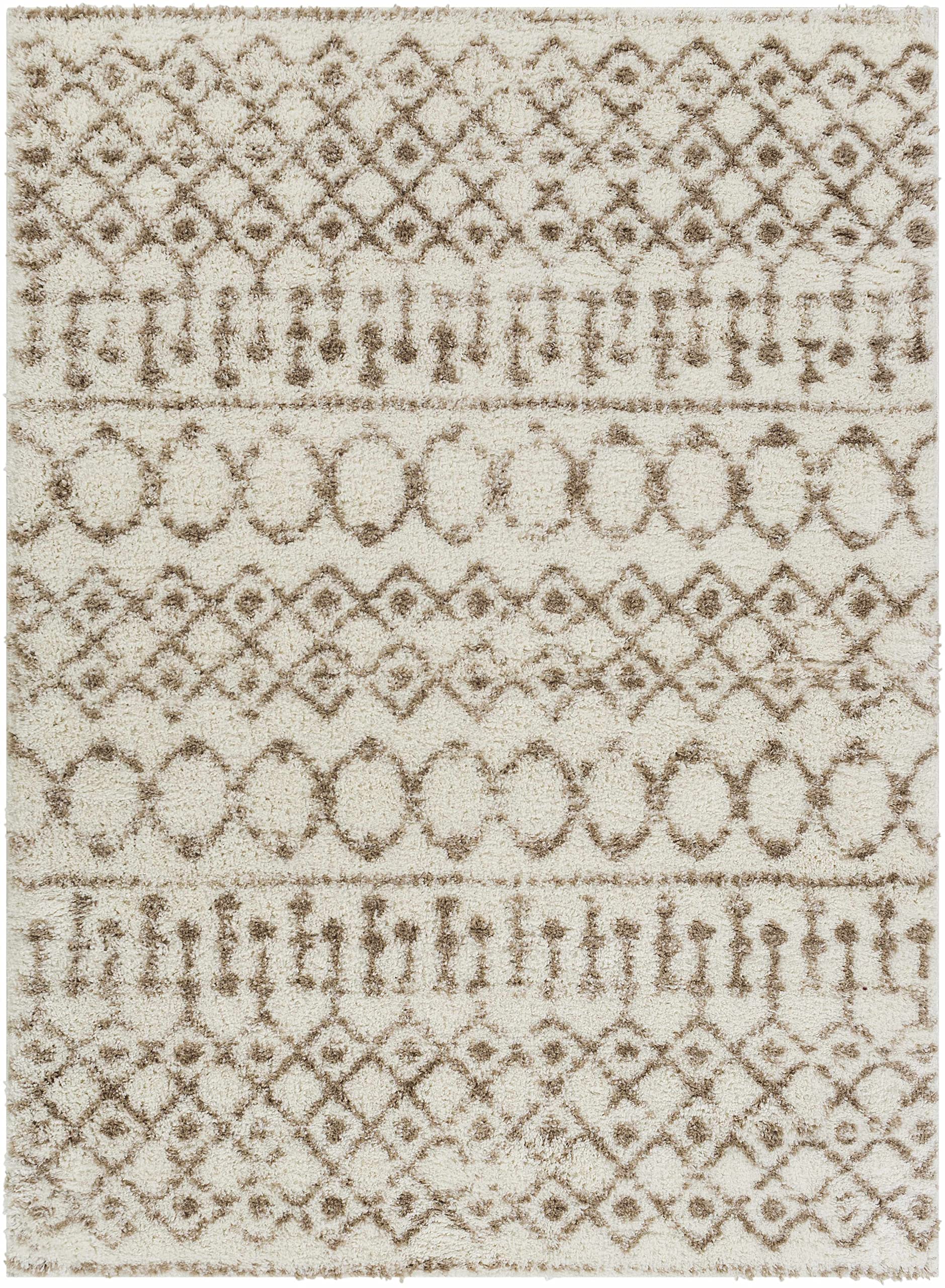 Luxury Hauteloom Collingwood Plush Area Rug 5'3