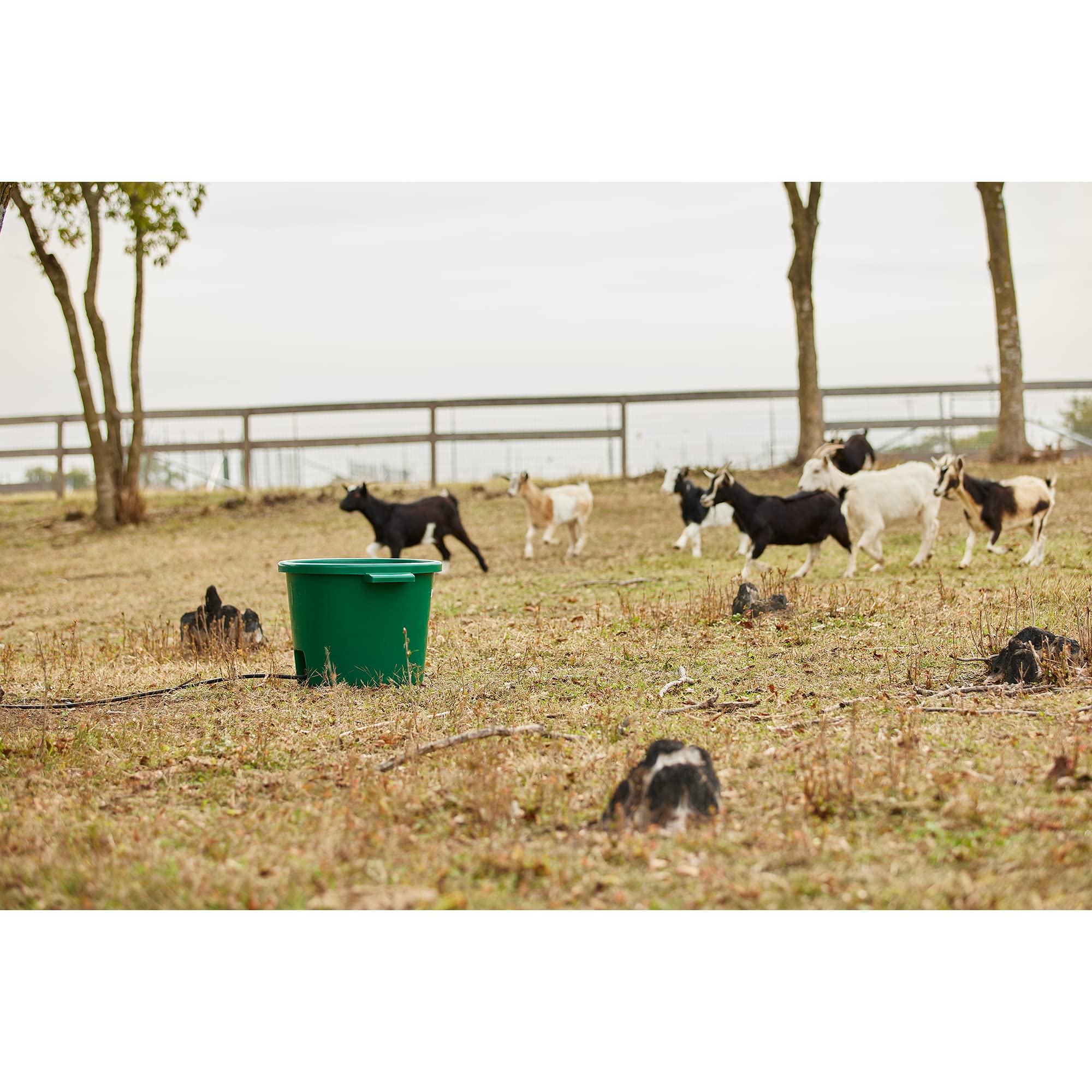Farm Innovators HT-200 16 Gallon Heated Water Bucket for Livestock & Pets - Green Plastic Tub with Hidden De-Icer Heating Element (2 Pack) - Ideal for Winter Farm Use, Horse Stables, and Outdoor Animal Care