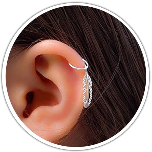 silver native feather