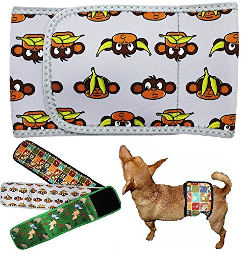 Reusable Washable Neoprene Male Dog Belly Band Diaper for Small, Medium & Large Dogs - Perfect for House Training, Incontinence & Travel Use