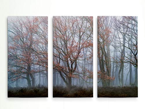 Misty Contrasts