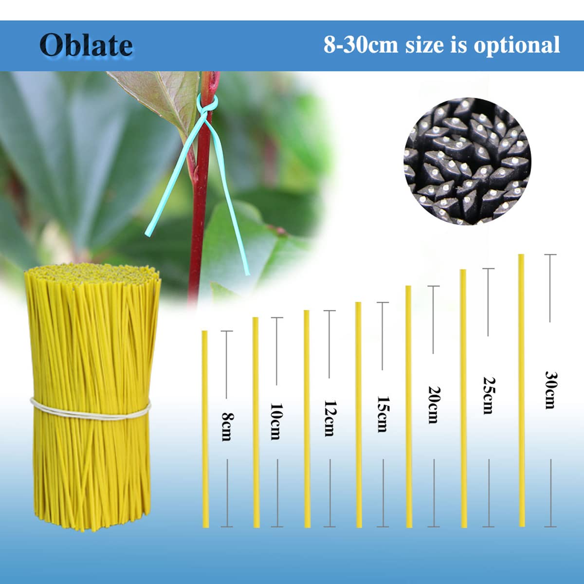 Queenbox 100pcs 30cm Plastic Twist Ties for Gardening, Flexible Reusable Plant Ties for Organizing Cables, Vines, and Garden Crops - Perfect for Plant Support, DIY Projects, and Home Organization (Transparent)