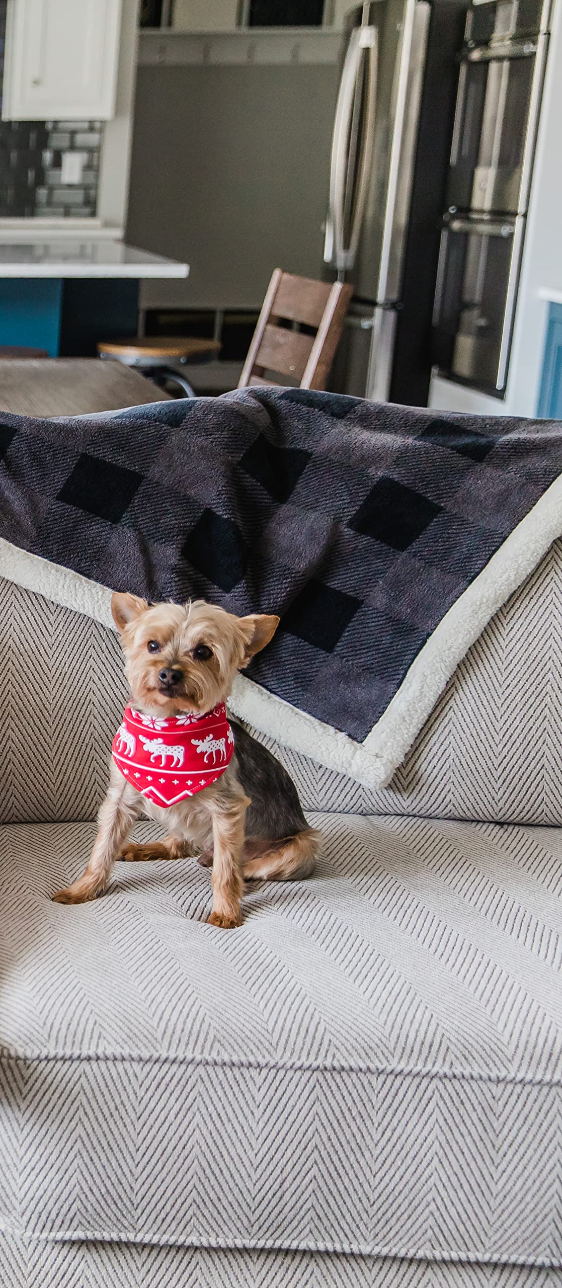 Reversible Dog Bandana for Pets - Nordic Moose Bear Winter Style | XS/S for Cozy Outings