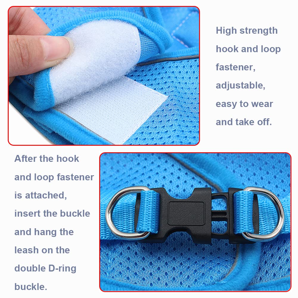 Leconpet Step-in Dog Harness with Leash Set - Breathable Mesh Reflective Vest for Small & Medium Dogs & Puppies (Blue, XS) - Perfect for Walking, Training & Outdoor Adventures
