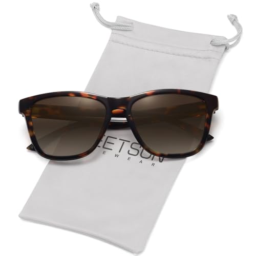 Leopard Frame / Brown Gradient Lens