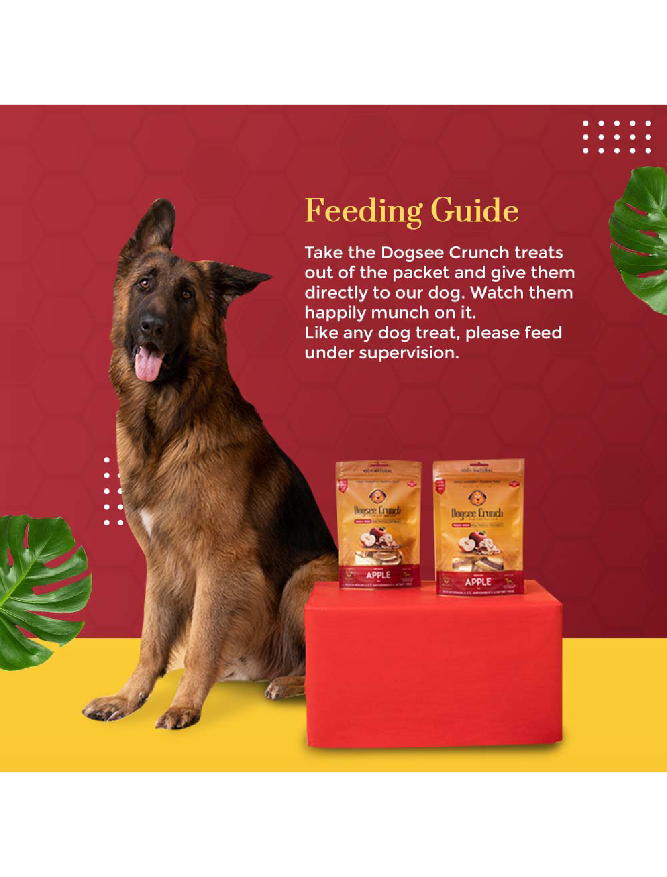 Freeze Dried Apple Dog Treats by Dogsee Crunch - 30g Natural & Healthy Snacks for Training, Rewards & Dental Health - Perfect for Small, Medium & Large Dogs