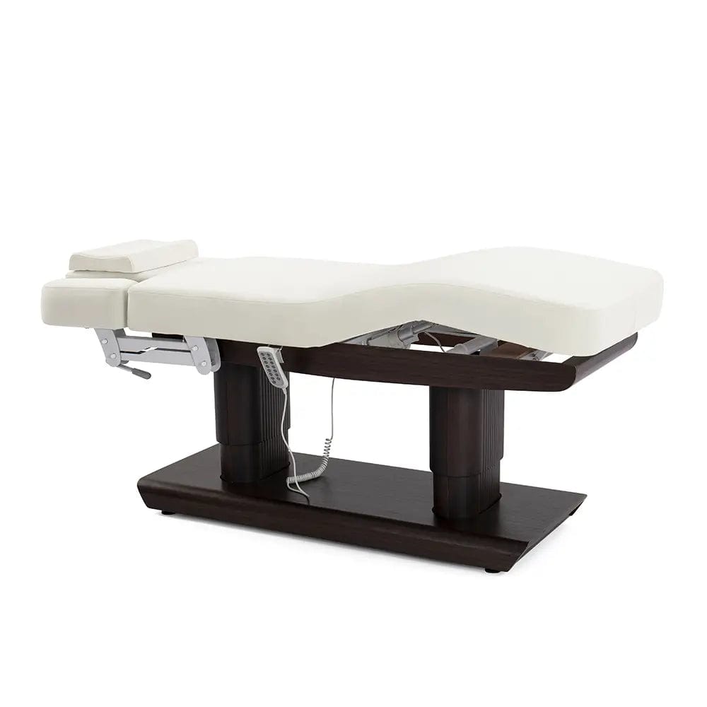 Electric Spa and Massage Bed - Professional Relaxation & Therapy for Home, Salon or Spa - Perfect for Pain Relief, Stress Reduction and Full Body Massage