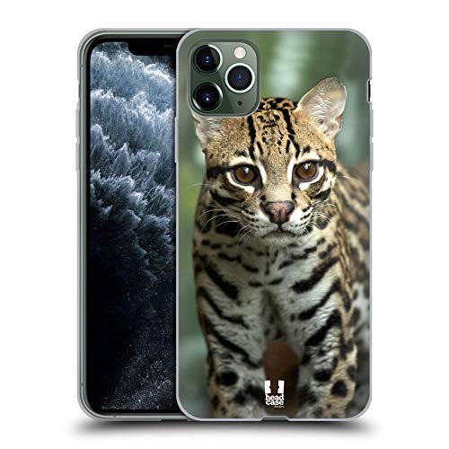 Closeup Of An Ocelot