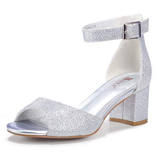 Silver Glitter