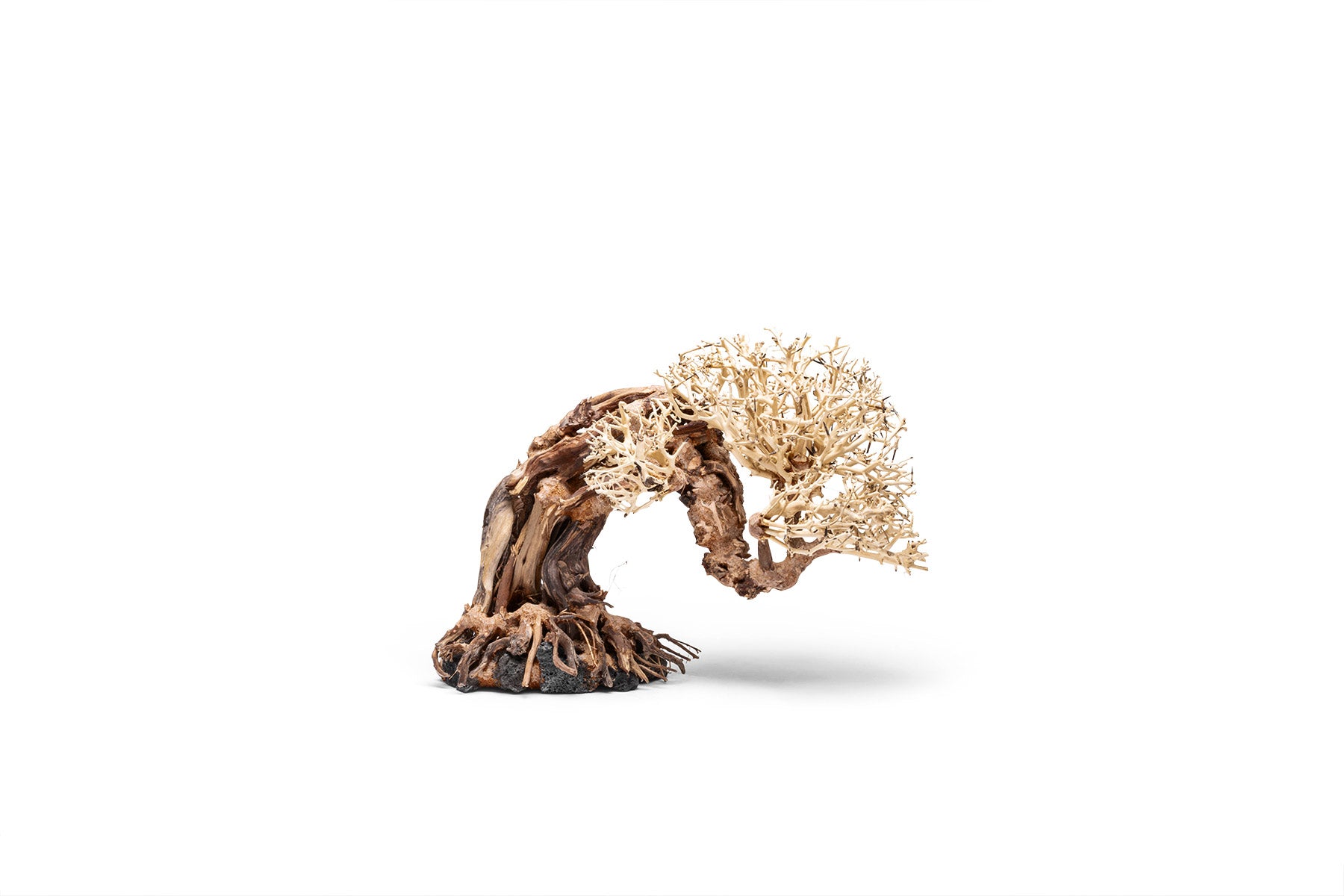 Premium Uns Bonsai 013 - High-Quality Artificial Bonsai Tree for Home & Office Decor | Perfect for Zen Gardens, Living Rooms, and Desk Decorations