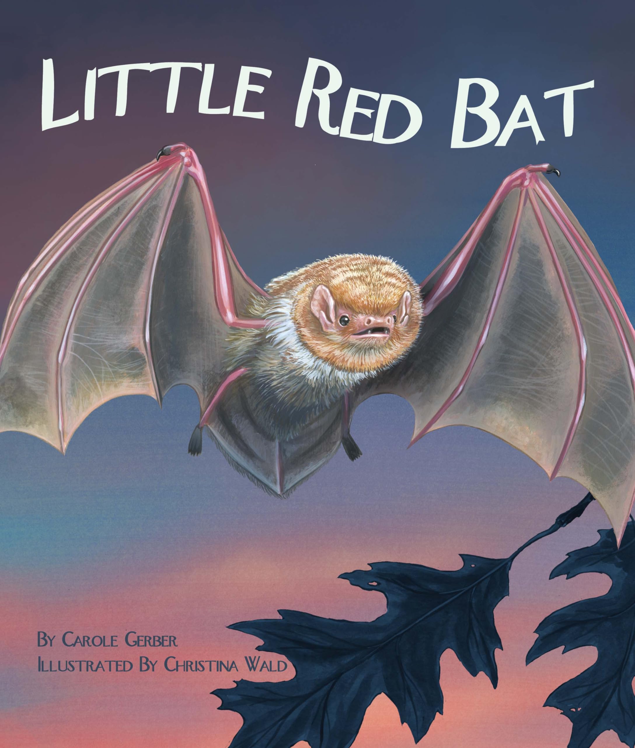 Little Red Bat (Arbordale Collection) - Children's Educational Book About Bats for Nature Learning & Bedtime Stories