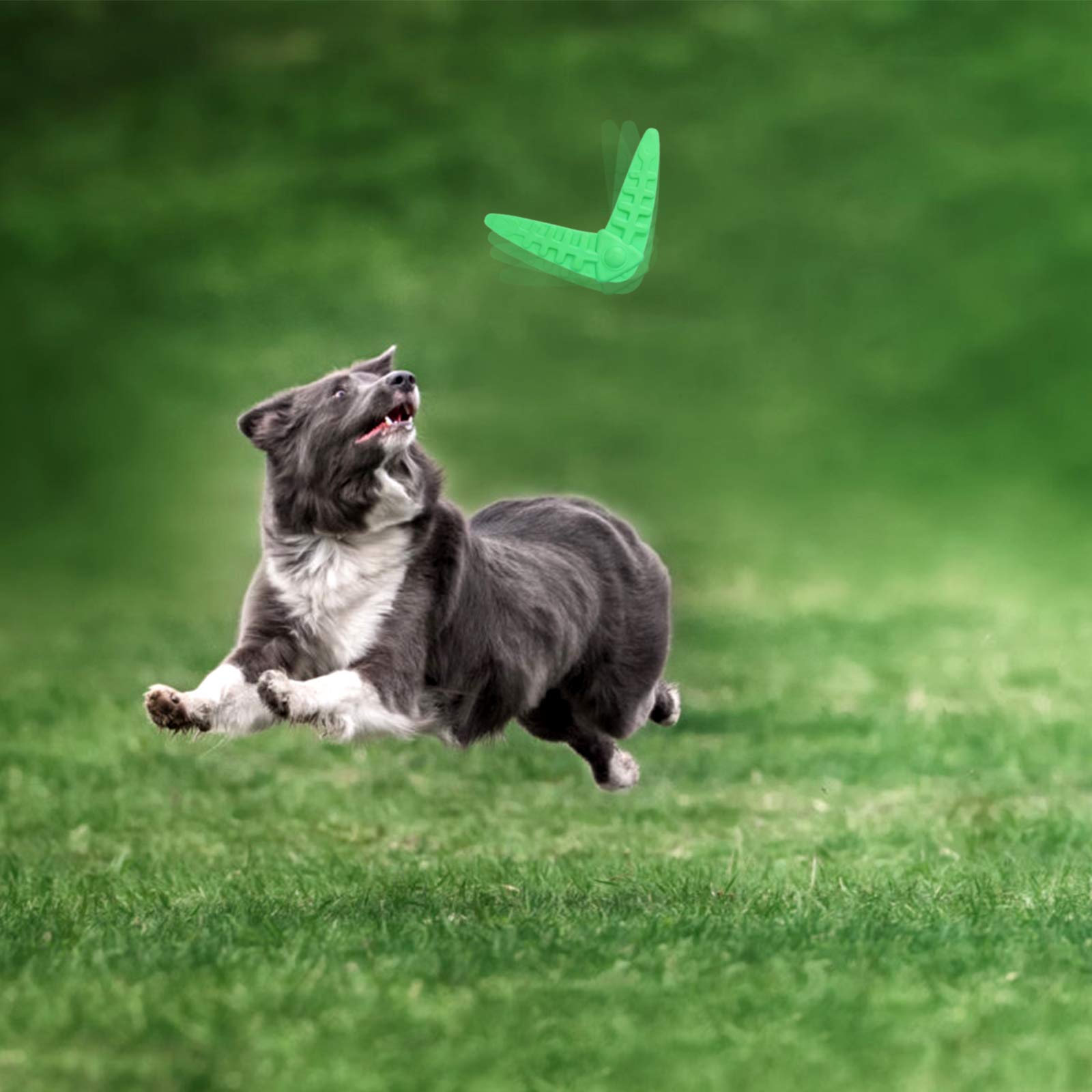 2pcs TPR Pet Dog Darts - Fun Outdoor Play for Dogs