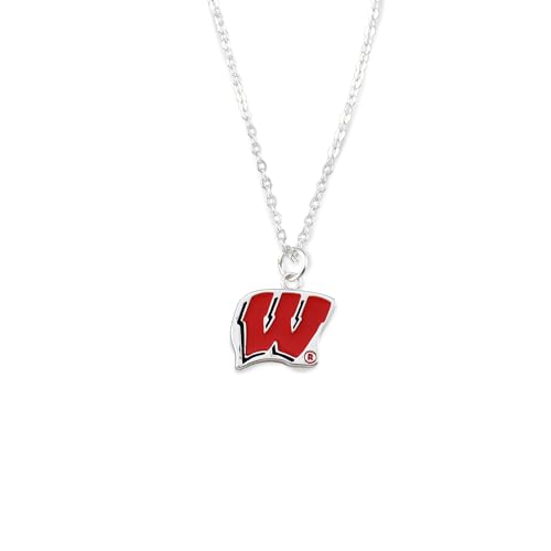 University of Wisconsin