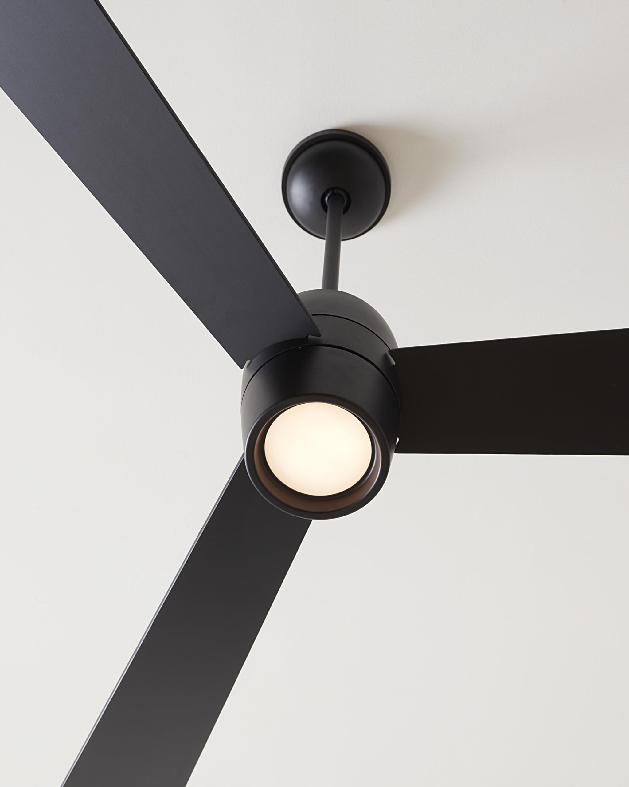 Monte Carlo 3ALBR60MBKD Alba 60-Inch Ceiling Fan with LED Light Kit & Remote Control, 3 Blades in Midnight Black - Perfect for Living Room, Bedroom & Outdoor Patio Cooling