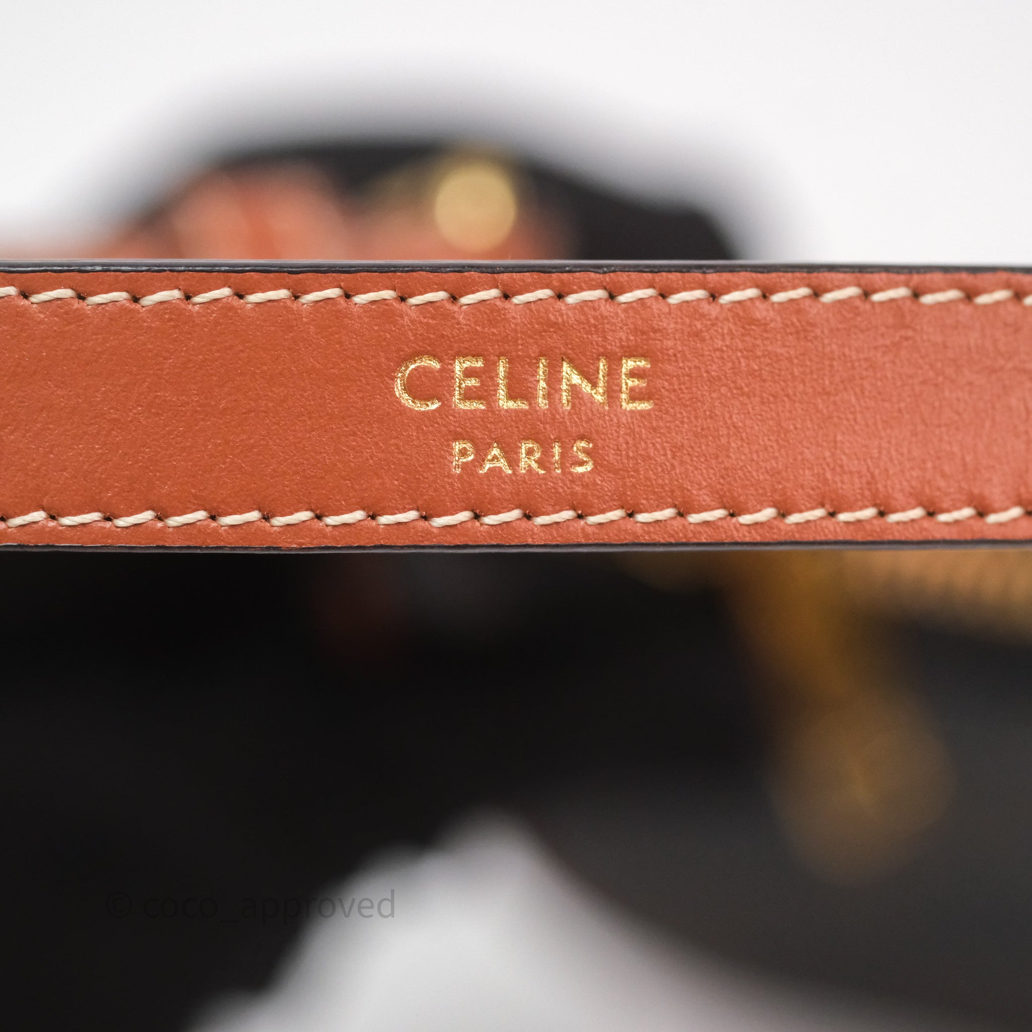 Celine Mini Ava Bag in Triomphe Canvas & Calfskin Leather - Tan Crossbody Purse for Women, Fashionable Everyday Shoulder Bag for Work, Travel & Casual Outings