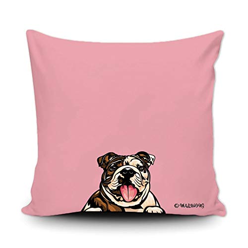 English Bulldog-1-3