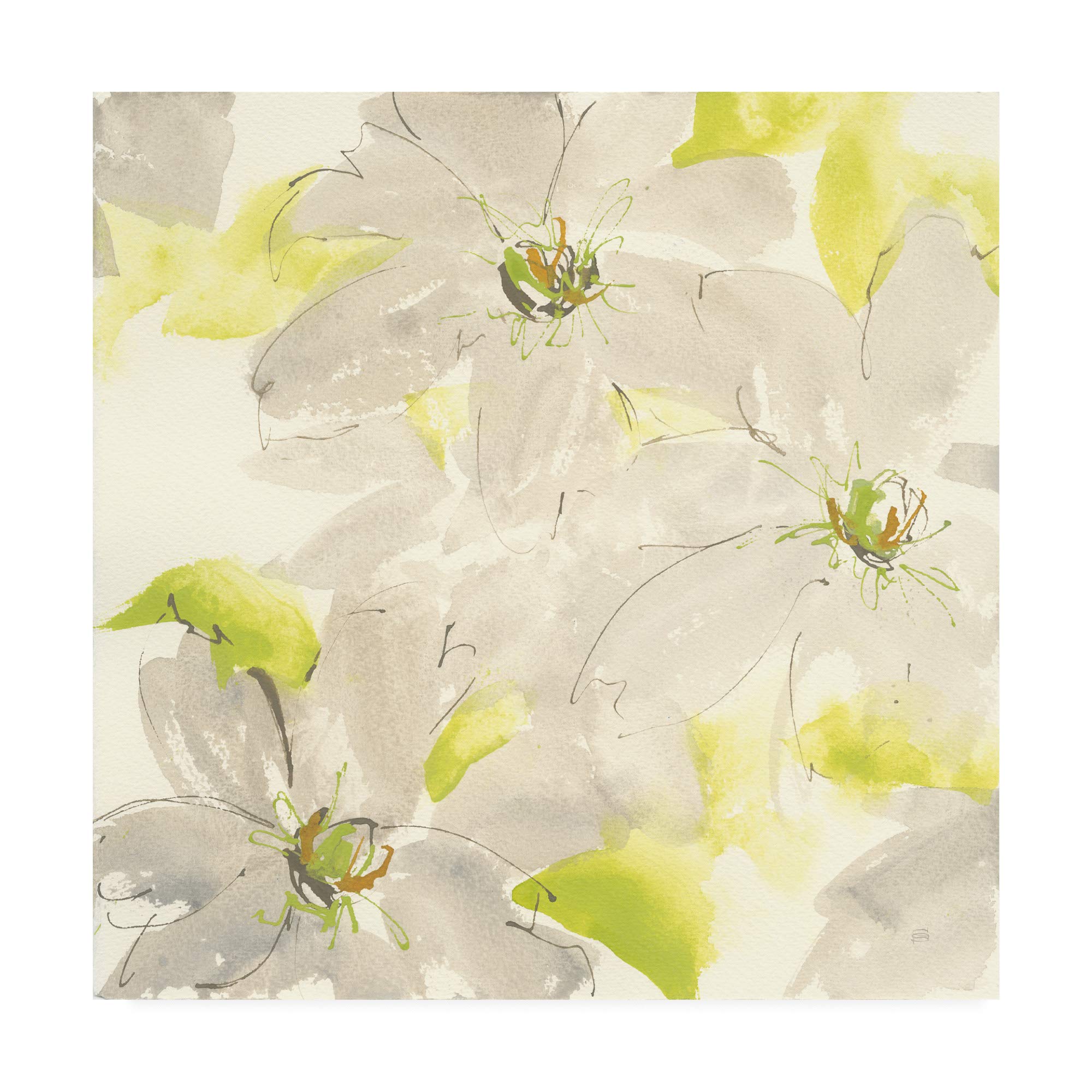 Trademark Fine Art Dancing Clematis I by Chris Paschke - 18x18 Inch Floral Canvas Wall Art - Perfect for Living Room, Bedroom & Office Decor