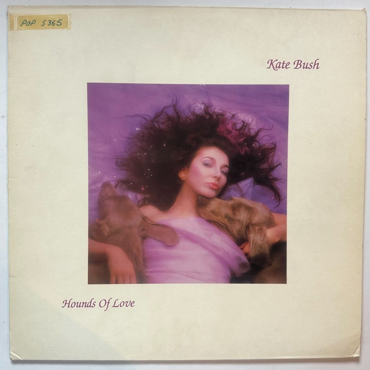 Kate Bush Hounds of Love 1985 UK Vinyl LP Record with Original Merchandise Order Form - Perfect for Music Collectors & Vintage Vinyl Enthusiasts