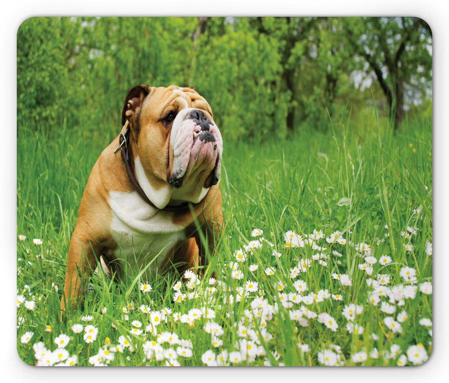 Ambesonne English Bulldog Mouse Pad - Non-Slip Rubber Desk Mat with Spring Park Floral Design (Fern Green/Brown/White) - Perfect for Office, Gaming & Home Computer Use