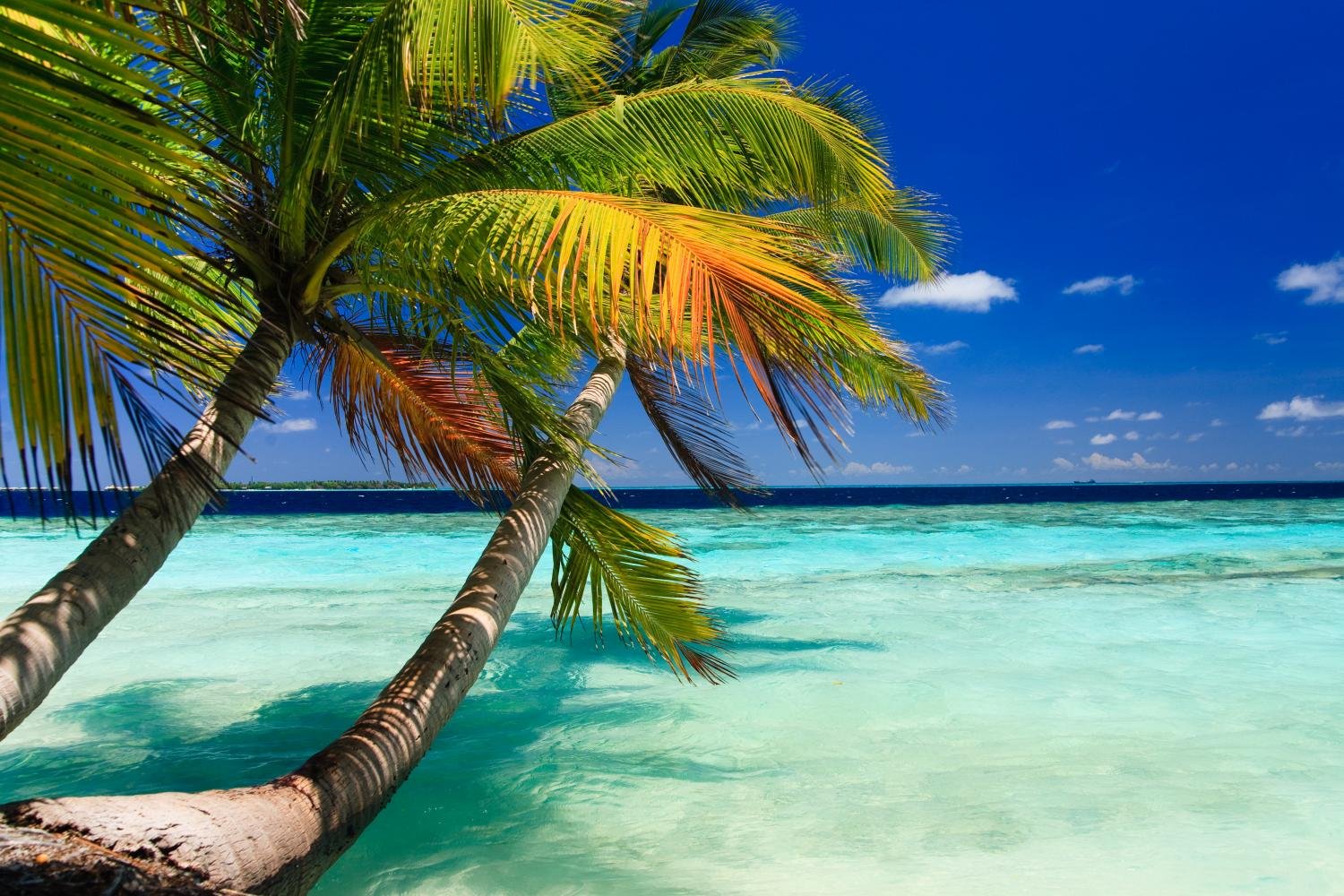Tropical Paradise at Maldives Peel & Stick Wall Decals - 72x48 Inch Extra Large Wall Stickers | Self-Adhesive Removable Wall Art for Living Room, Bedroom, Nursery & Office Decor