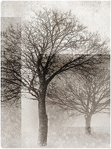 Oaks in Overlay I
