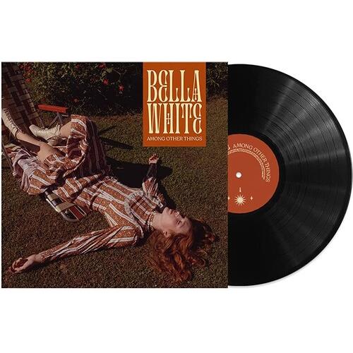 Among Other Things Vinyl LP - Limited Edition Music Record for Collectors & Audiophiles - Perfect for Home Listening & Gifts