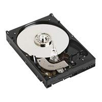 Dell 6TB 7.2K RPM SATA 6Gbps 512e 3.5 Inch Internal Hard Drive - High Capacity HDD for Desktop PCs, Servers, NAS Storage & Data Backup