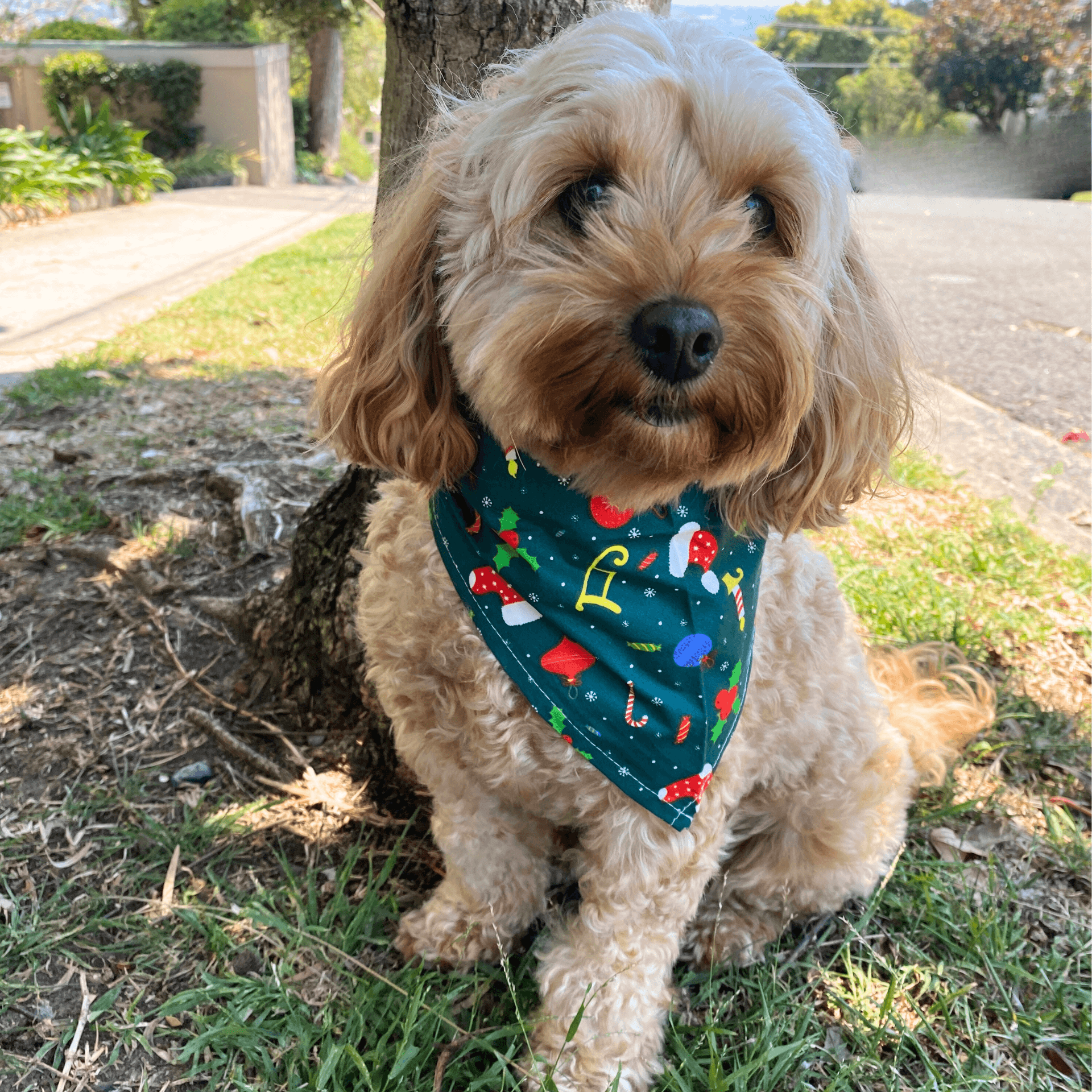 Festive Triangle Dog Bandana - Holiday Pet Scarf for Christmas & Winter Outfits - Perfect for Parties, Photos & Seasonal Celebrations