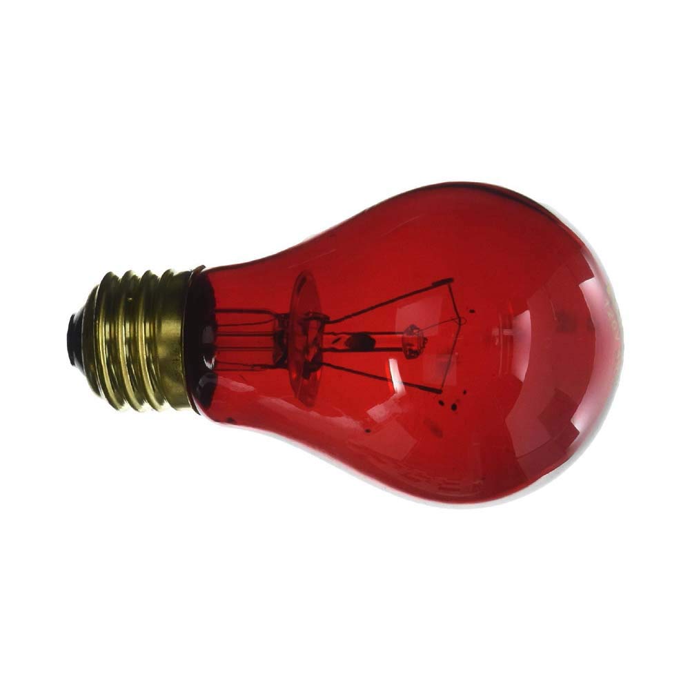 Fluker's 75W Red Incandescent Heat Bulb for Reptiles - Ideal for Nighttime Heating in Terrariums & Reptile Enclosures