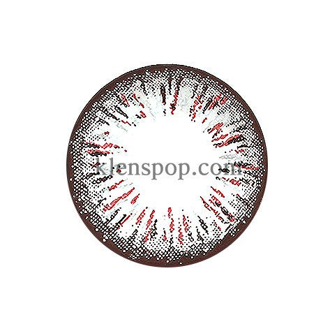 Ellen 4 Color Gray Colored Contact Lenses (2 Pairs) - 6 Month Wear - Perfect for Halloween, Cosplay & Daily Fashion Enhancement