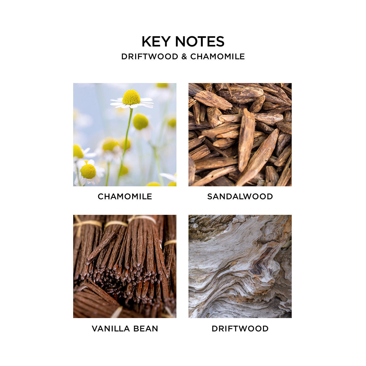 Natural Driftwood & Chamomile Scented Soy Candle - Handmade Aromatherapy for Relaxation, Stress Relief & Home Decor | Perfect for Bedroom, Bathroom & Meditation Spaces