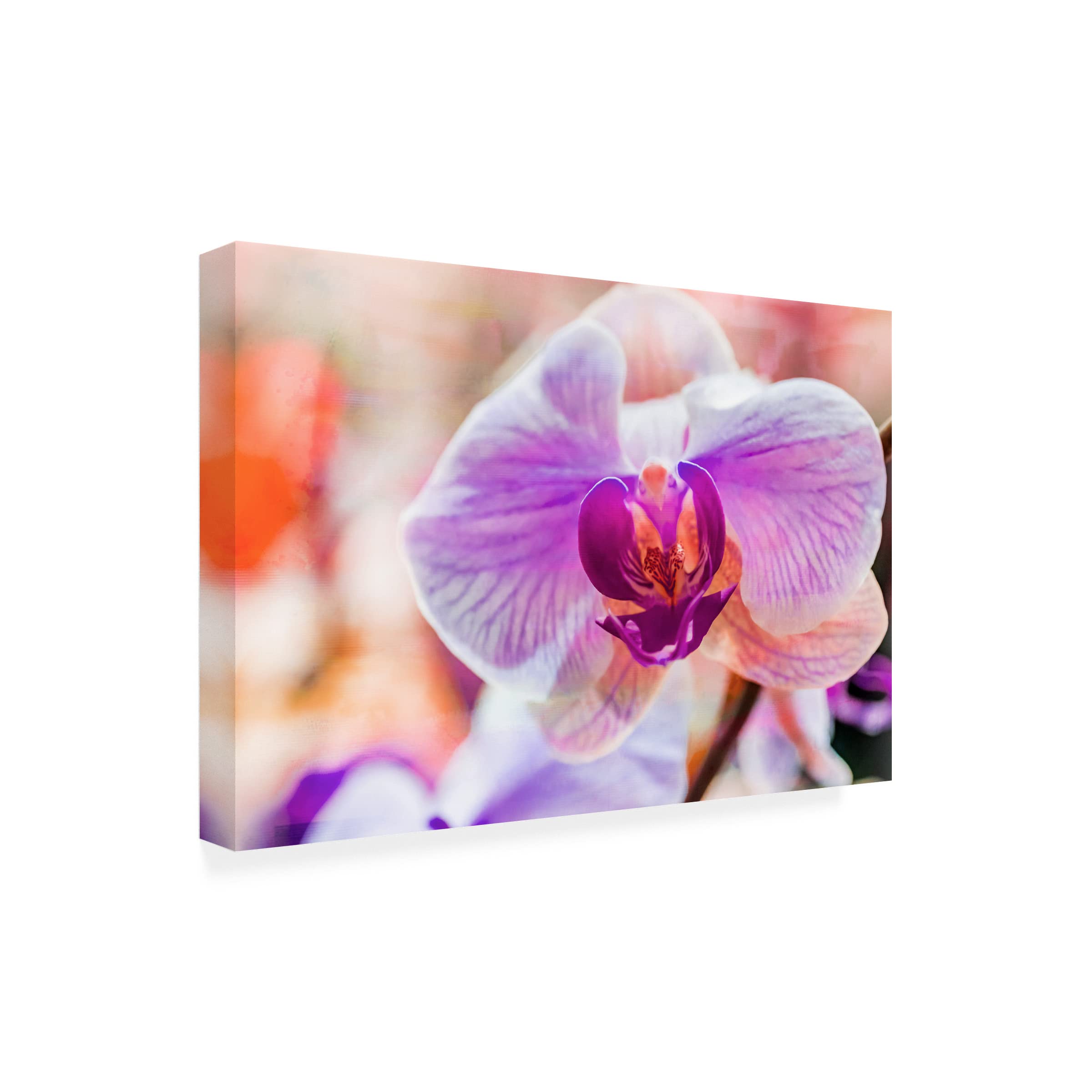Eva Bane 'Orchid Vibrancy 05' Canvas Wall Art - 16x24 Inches Floral Painting, Modern Home Decor for Living Room, Bedroom & Office